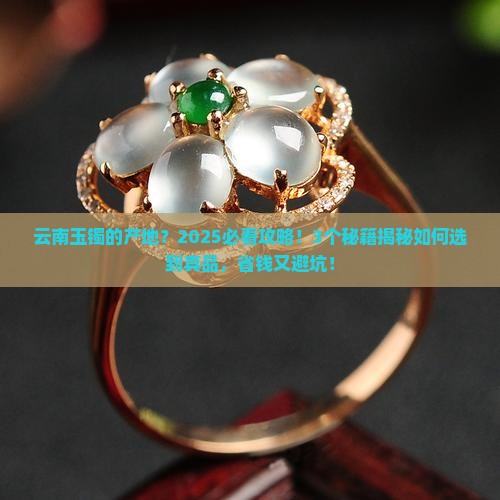 云南玉镯的产地