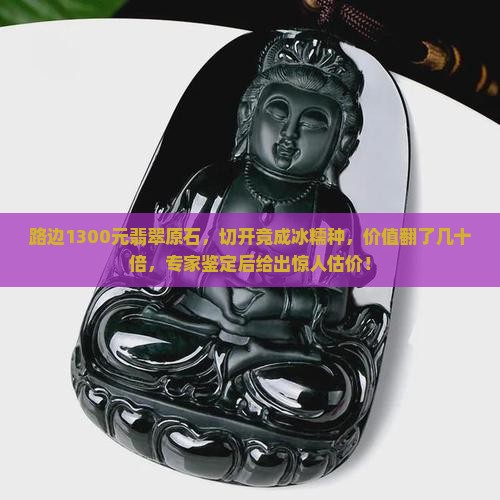 路边1300元翡翠原石