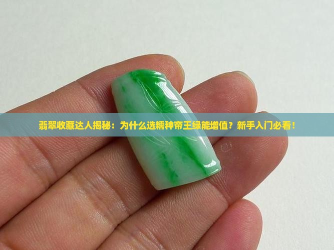 翡翠收藏达人揭秘：为什么选糯种帝王绿能增值？新手入门必看！