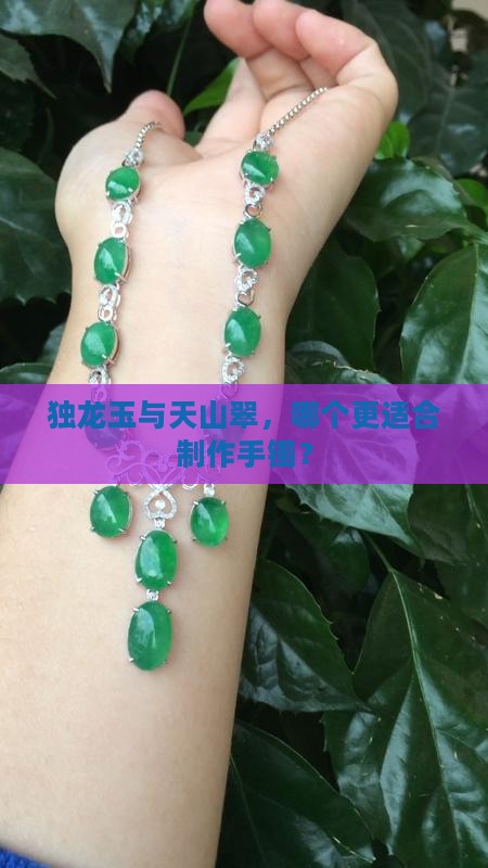独龙玉与天山翠，哪个更适合制作手镯？