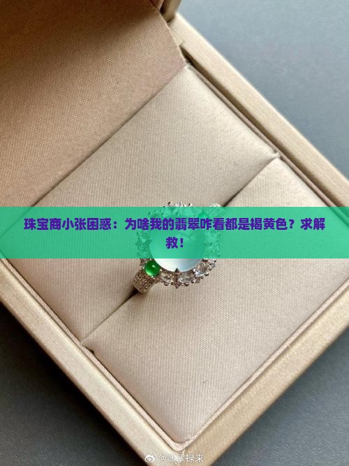 翡翠褐黄色颜色成英未定