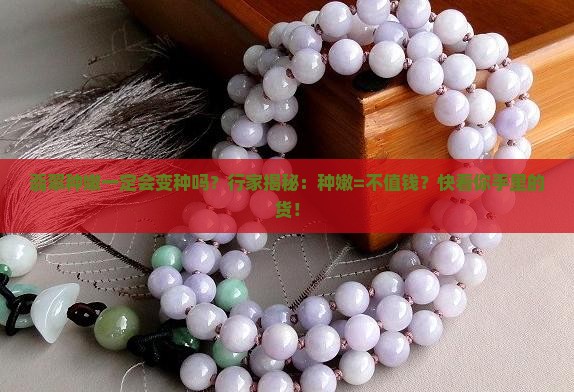 翡翠种嫩一定会变种吗