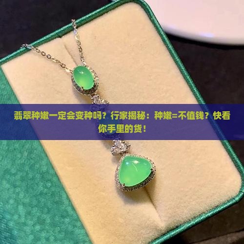 翡翠种嫩一定会变种吗