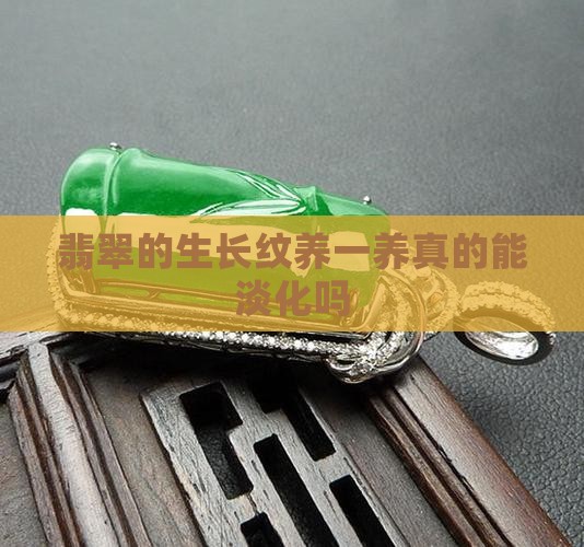 翡翠的生长纹养一养可以淡化吗