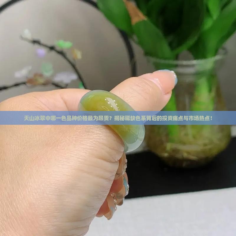天山冰翠中哪个颜色最贵