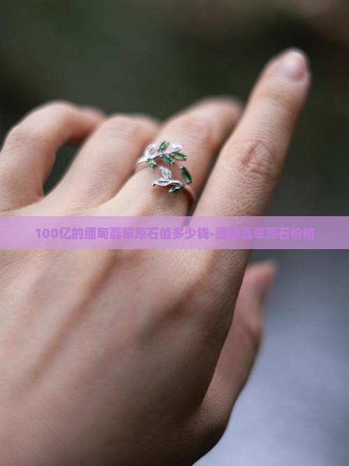 100亿的缅甸翡翠原石 100亿的缅甸翡翠原石