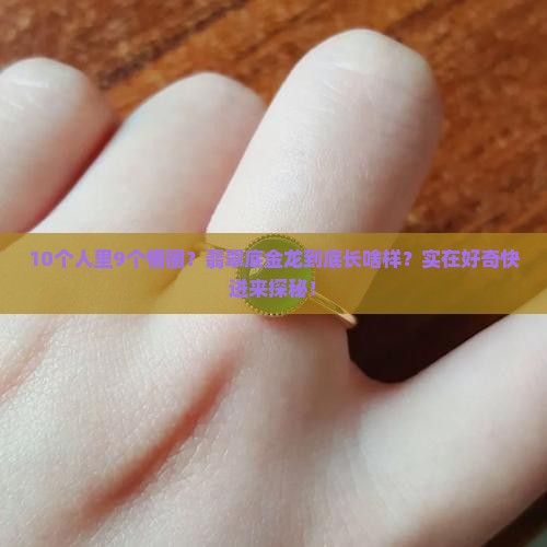 翡翠底金龙