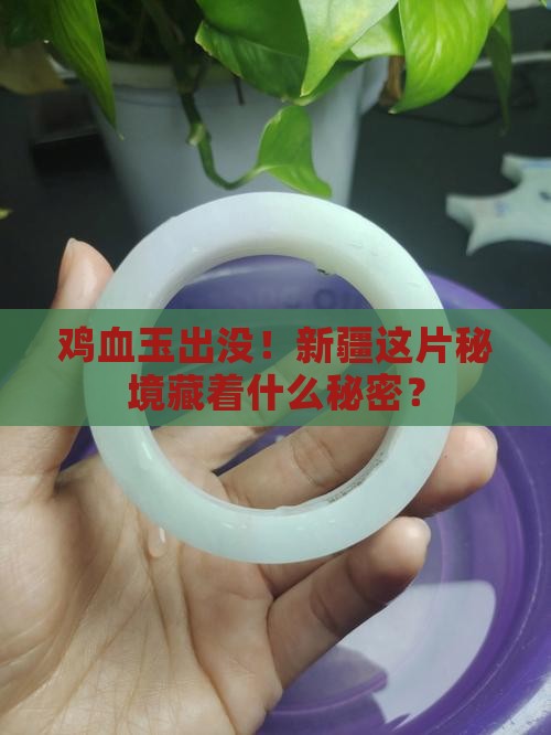 鸡血玉新疆