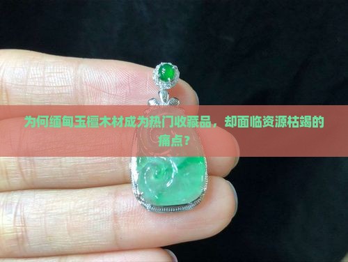 缅甸玉檀木材
