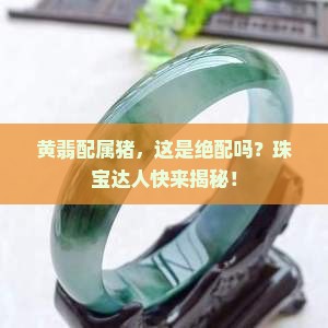 属猪的适合戴黄翡吗
