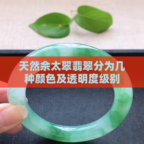 佘太翠分为几种