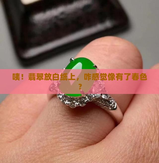 翡翠放白纸上有春色