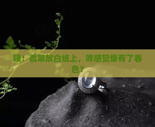 翡翠放白纸上有春色