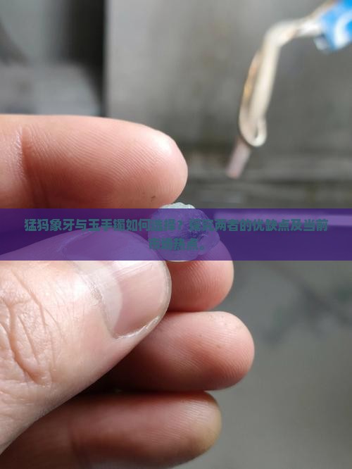 带猛犸和玉手镯哪个好
