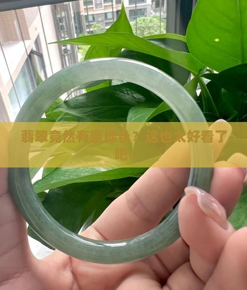 翡翠有蓝绿色吗