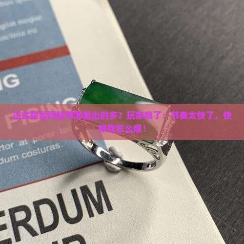 正式服翡翠胫甲哪里出的多