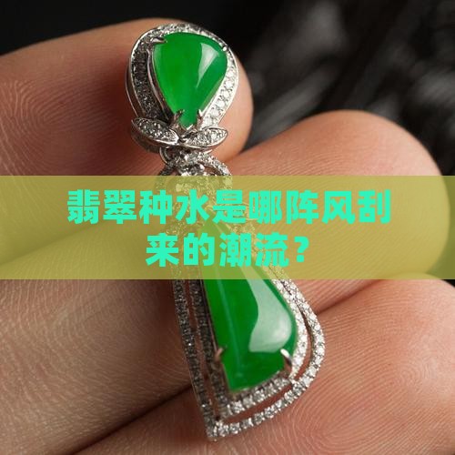 翡翠种水啥时候流行的