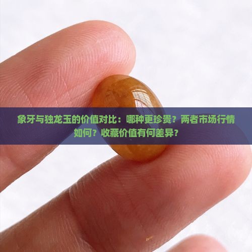 象牙和独龙玉谁更值钱