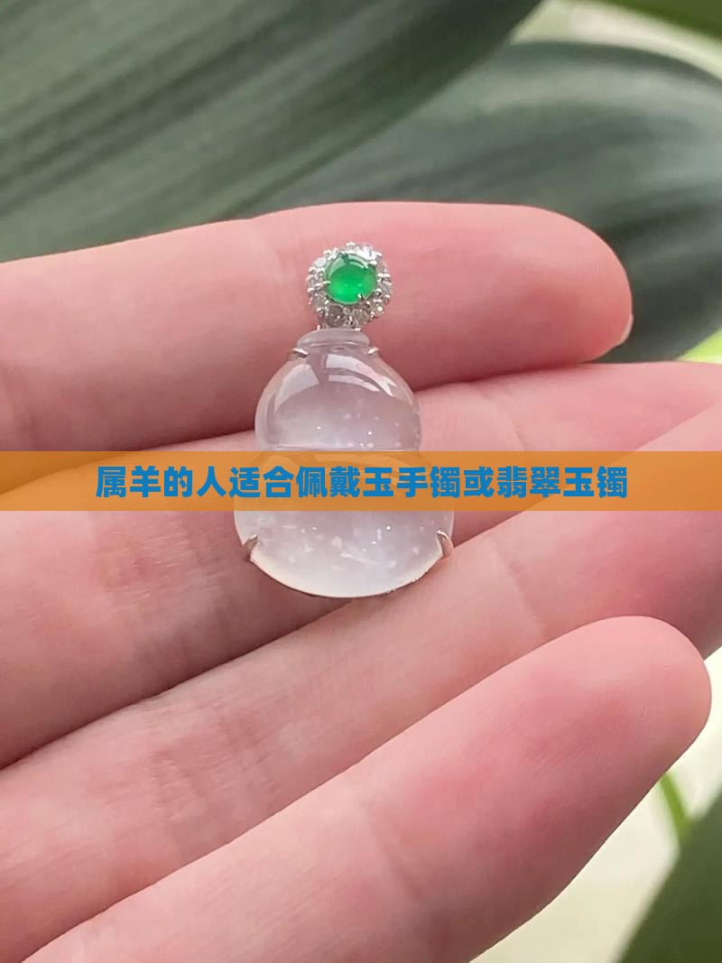 属羊的适合带玉镯