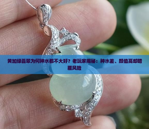 黄加绿翡翠为何种水都不大好 黄加绿翡翠为何种水都不大好