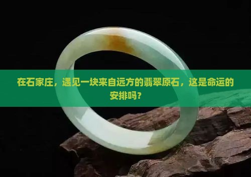 石家庄购买翡翠原石
