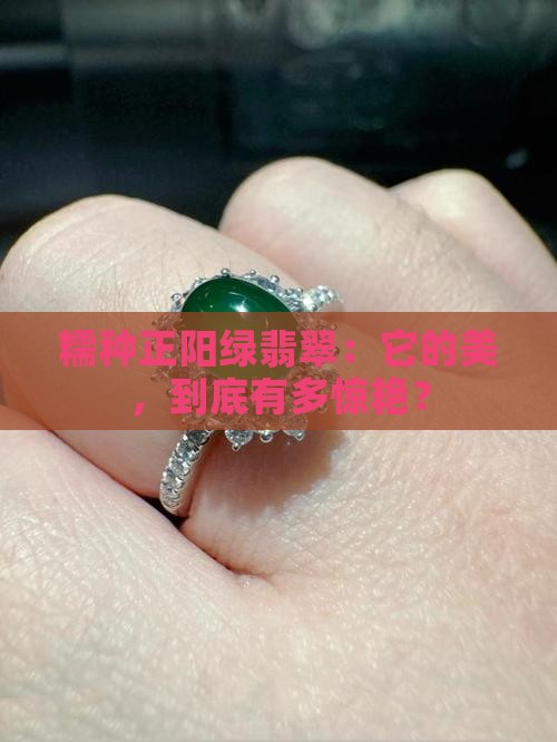 糯种正阳绿翡翠