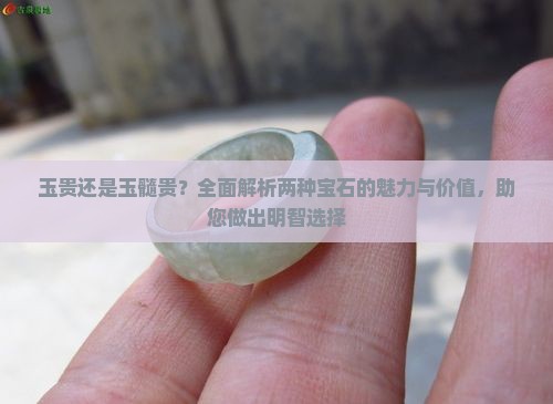 玉贵还是玉髓贵