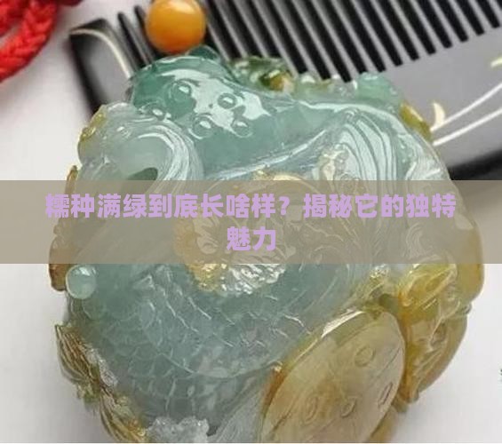 糯种满绿有什么特征