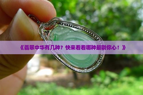 翡翠中华有几种