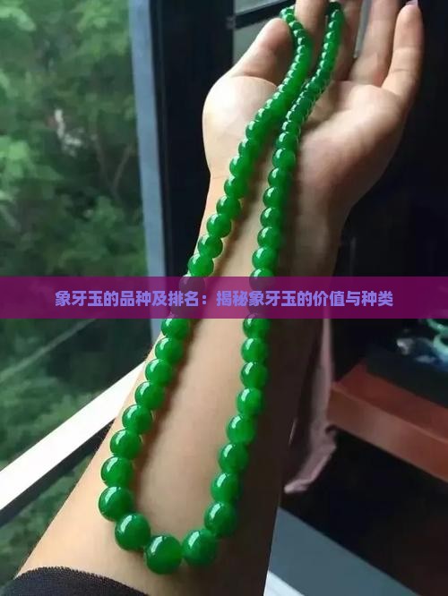 象牙玉的品种