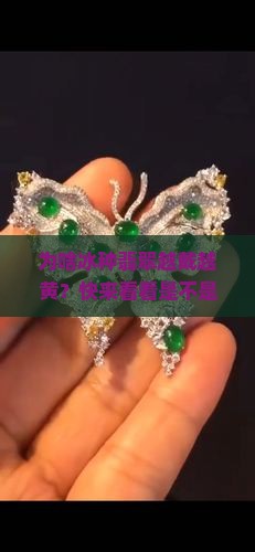 冰种翡翠越带越黄