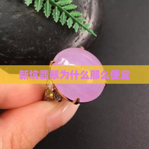 新坑翡翠为什么那么便宜