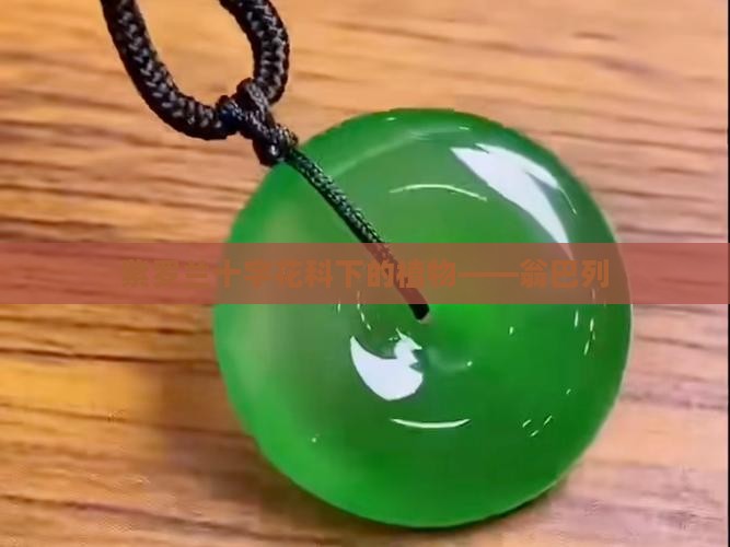翁巴列紫罗兰