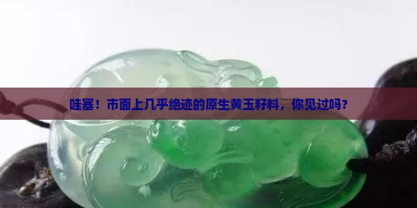 市面罕见原生黄玉籽料