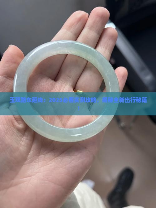 玉双路东延线