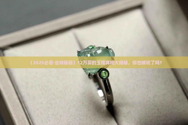 12万购买的玉镯