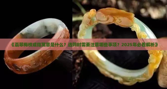 翡翠梅枝戒指寓意什么意思啊