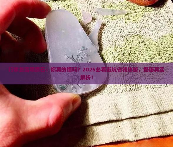 行家货翡翠原石