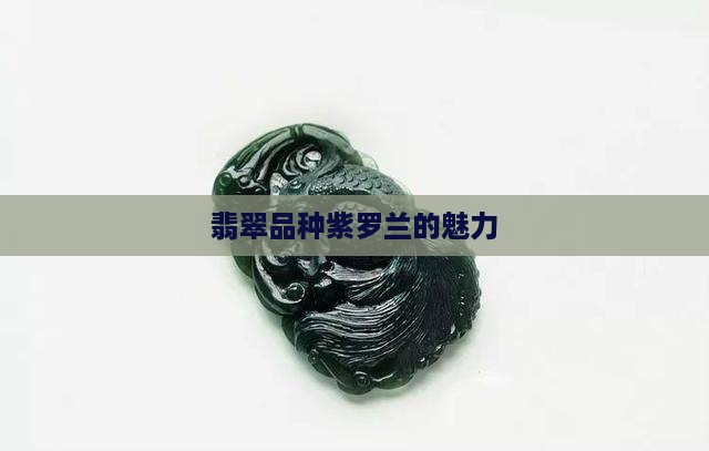 翡翠紫罗兰的邂逅