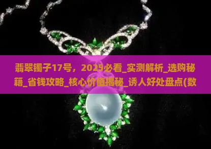 翡翠镯子17号