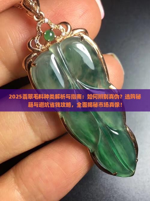 如何看翡翠毛料种类
