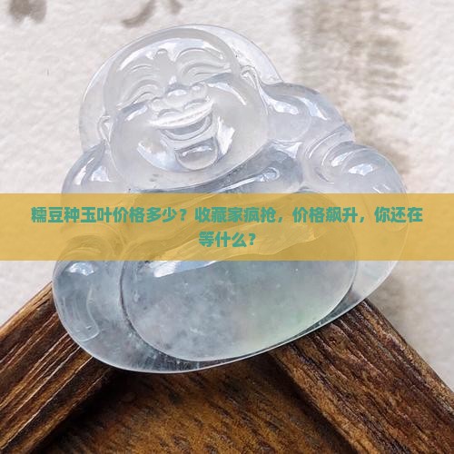 糯豆种玉叶价格多少