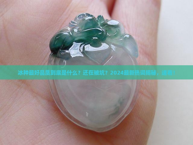 冰种最好品质