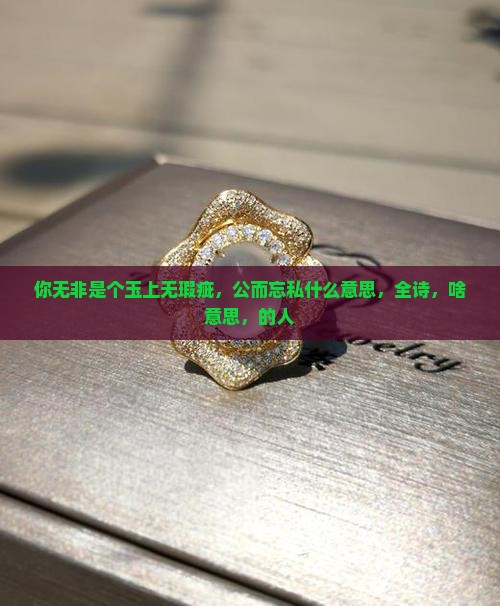 你无非是个玉上无瑕疵