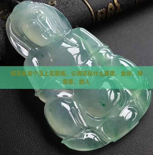 你无非是个玉上无瑕疵