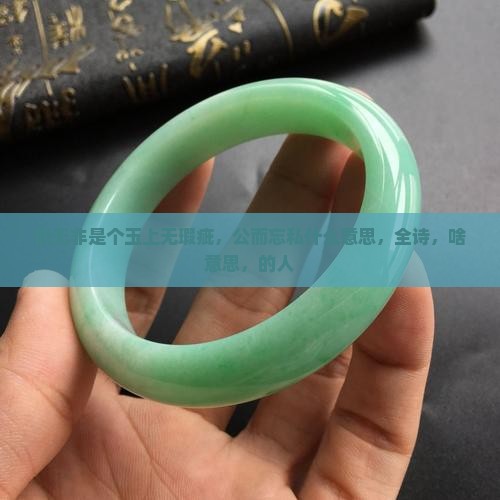 你无非是个玉上无瑕疵