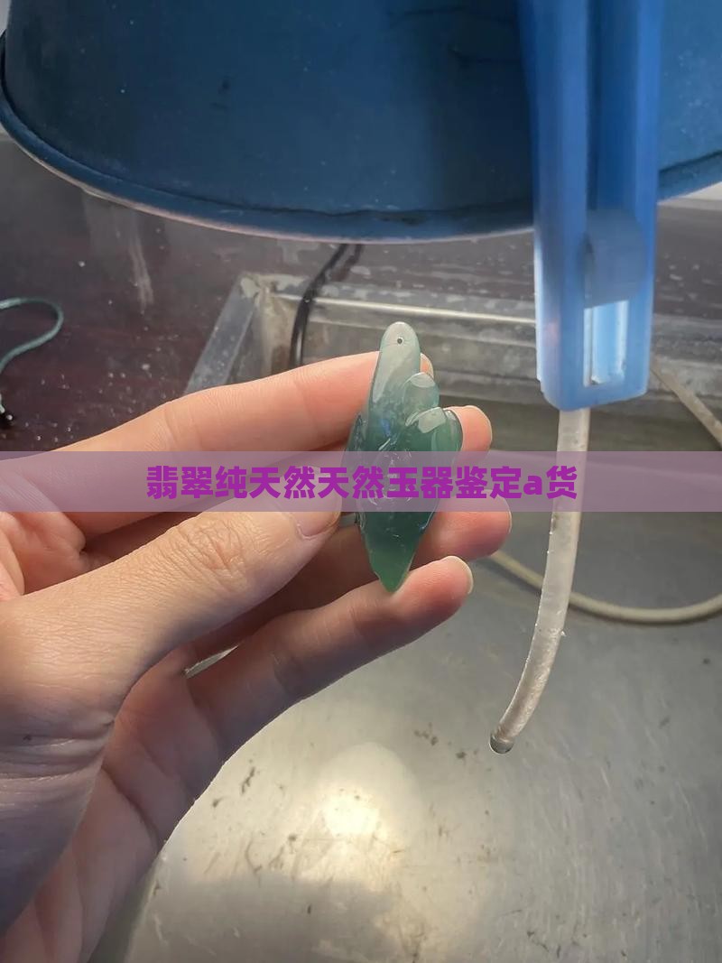 玉器鉴定a货