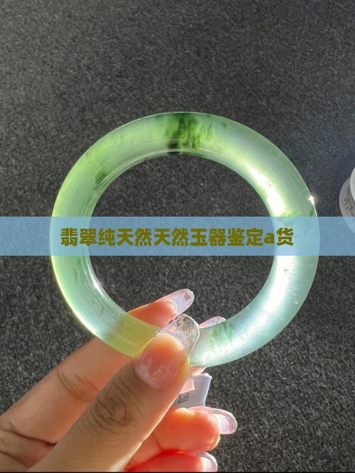 玉器鉴定a货