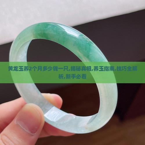 黄龙玉养2个月多少钱一只
