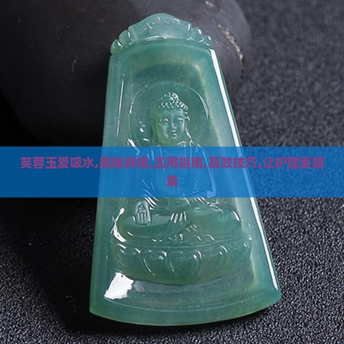 芙蓉玉爱吸水